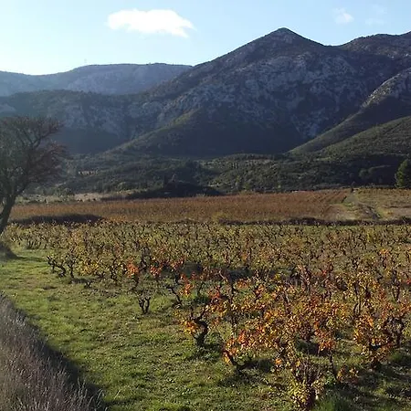La Loubiere Vendégház *
