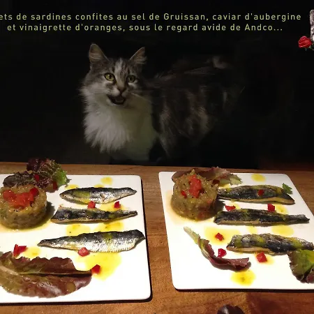 La Loubiere Vendégház *